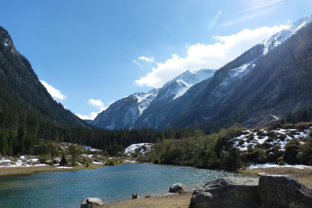 Naturpension Muehlhof Neukirchen am Grossvenediger Luaran gambar